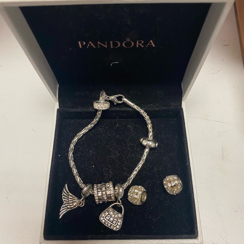Pandora Charm Bracelet